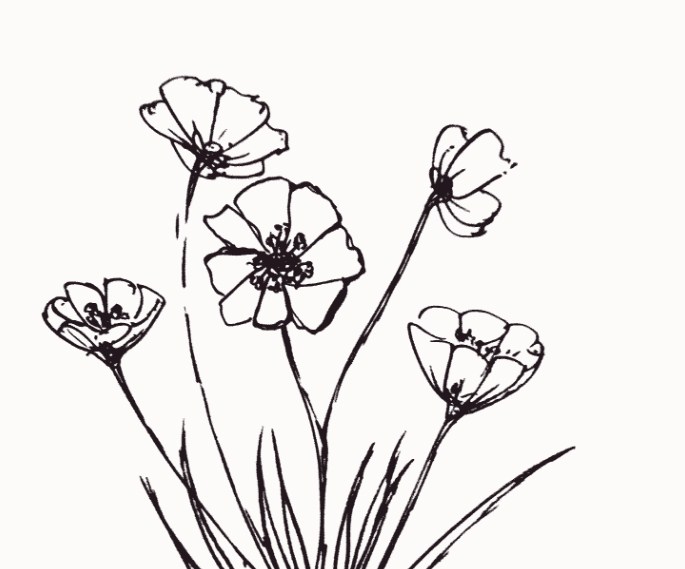 Download Gambar Sketsa Bunga Kecil Nomer 5