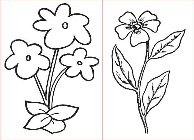 Detail Gambar Sketsa Bunga Kecil Nomer 50