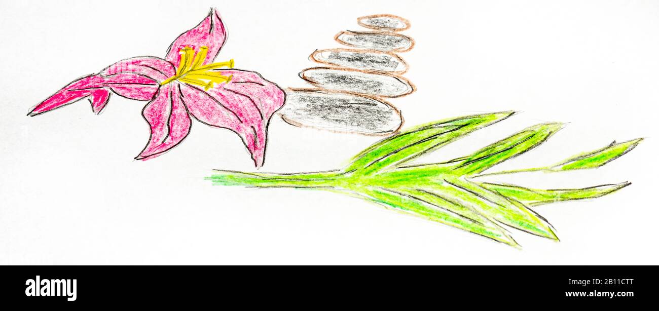 Detail Gambar Sketsa Bunga Kenanga Nomer 16