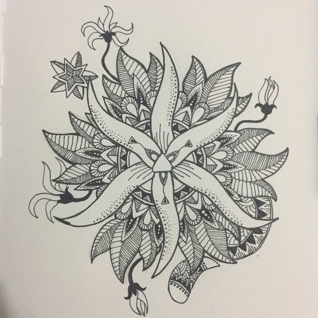 Detail Gambar Sketsa Bunga Kenanga Nomer 10
