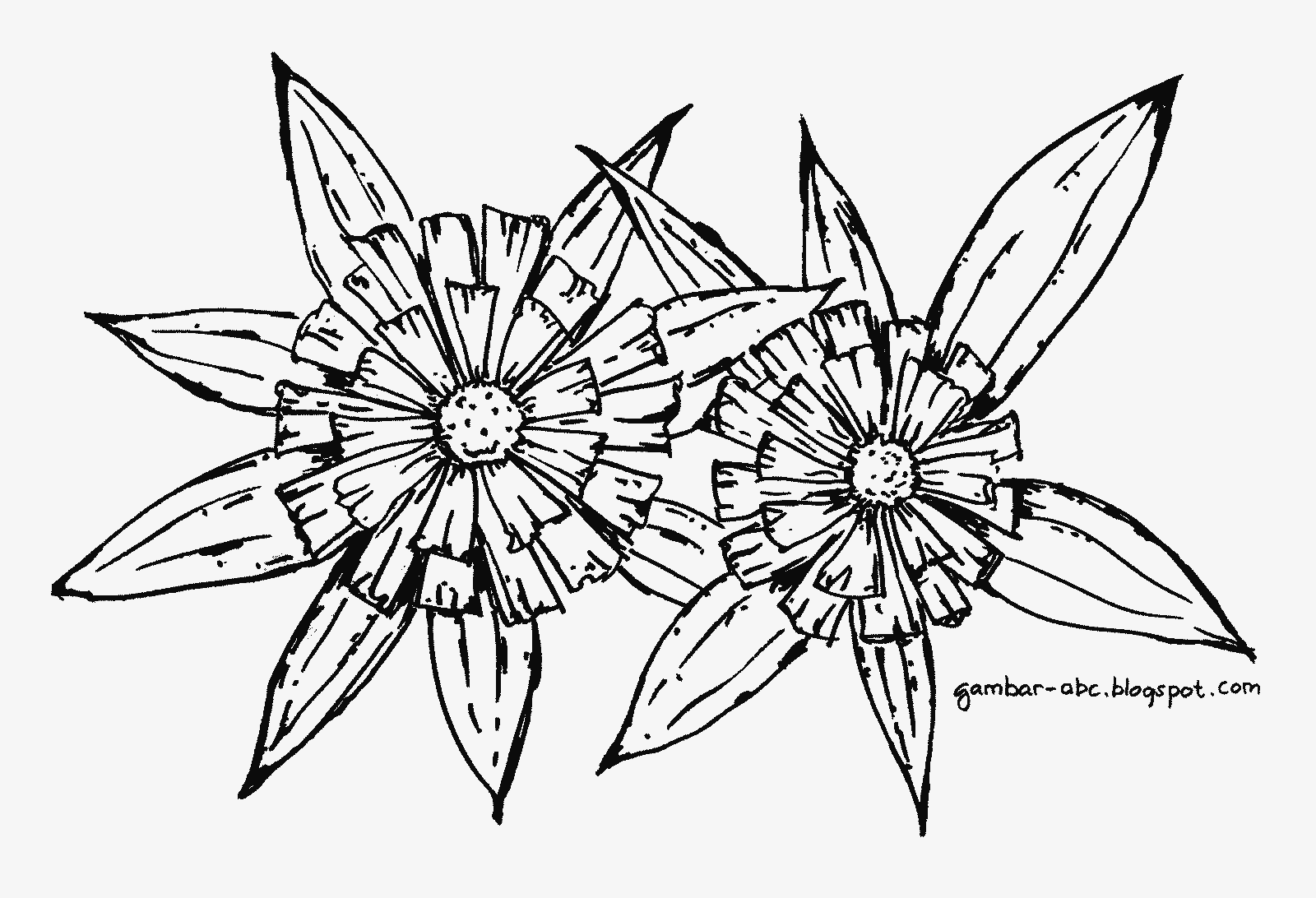 Detail Gambar Sketsa Bunga Kertas Nomer 15