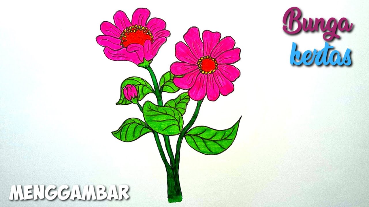 Download Gambar Sketsa Bunga Kertas Nomer 3