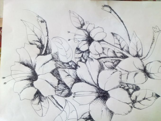 Detail Gambar Sketsa Bunga Kertas Nomer 22