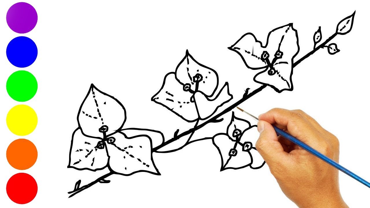 Detail Gambar Sketsa Bunga Kertas Nomer 5