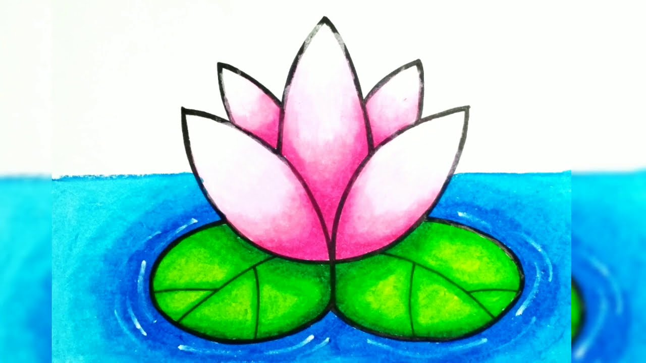 Detail Gambar Sketsa Bunga Lotus Nomer 25