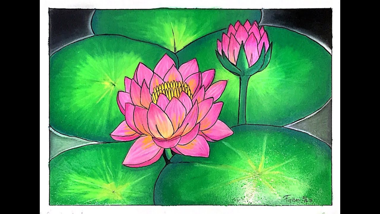 Detail Gambar Sketsa Bunga Lotus Nomer 32