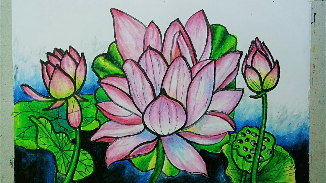 Detail Gambar Sketsa Bunga Lotus Nomer 42