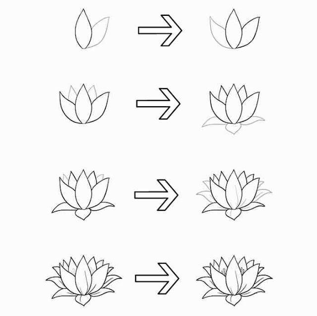 Detail Gambar Sketsa Bunga Lotus Nomer 46