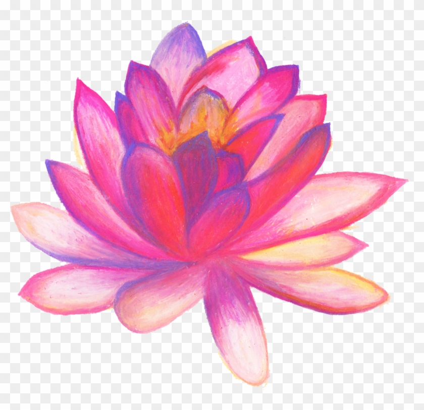 Detail Gambar Sketsa Bunga Lotus Nomer 50