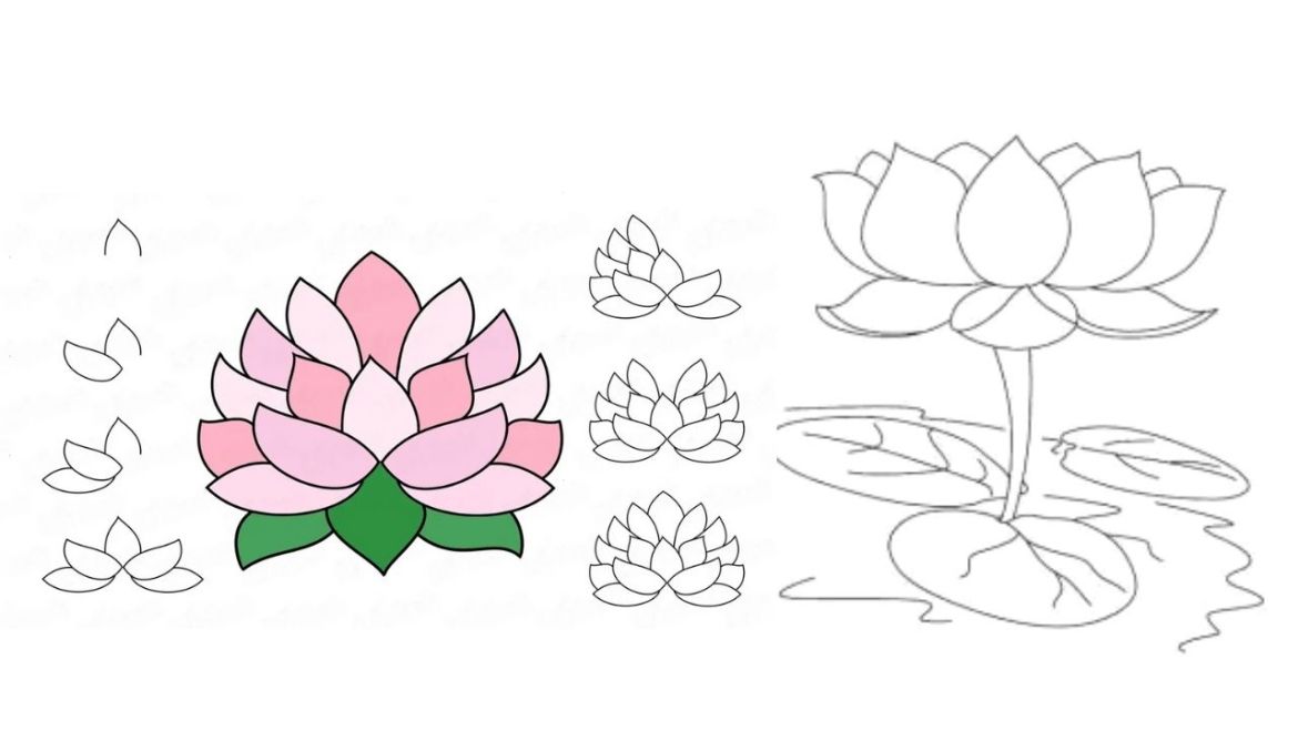 Detail Gambar Sketsa Bunga Lotus Nomer 7