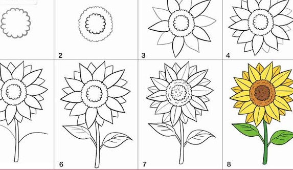 Download Gambar Sketsa Bunga Matahari Dan Warnanya Nomer 30