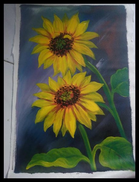 Detail Gambar Sketsa Bunga Matahari Dan Warnanya Nomer 31