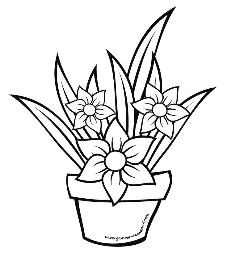 Detail Gambar Sketsa Bunga Mawar Dalam Pot Nomer 11