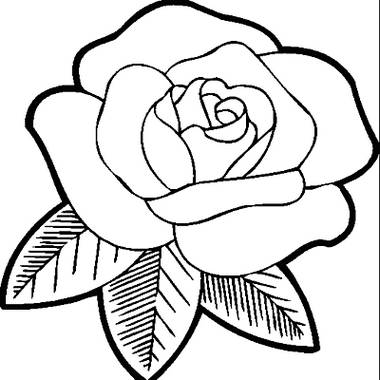 Detail Gambar Sketsa Bunga Mawar Hitam Putih Nomer 3
