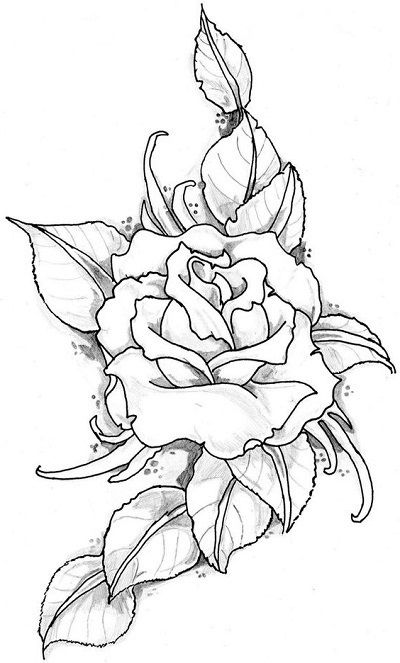 Detail Gambar Sketsa Bunga Mawar Hitam Putih Nomer 39