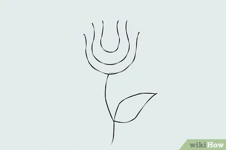 Detail Gambar Sketsa Bunga Mawar Kuncup Nomer 28