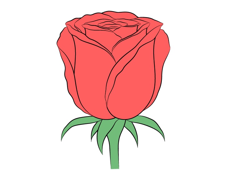 Detail Gambar Sketsa Bunga Mawar Merah Nomer 13