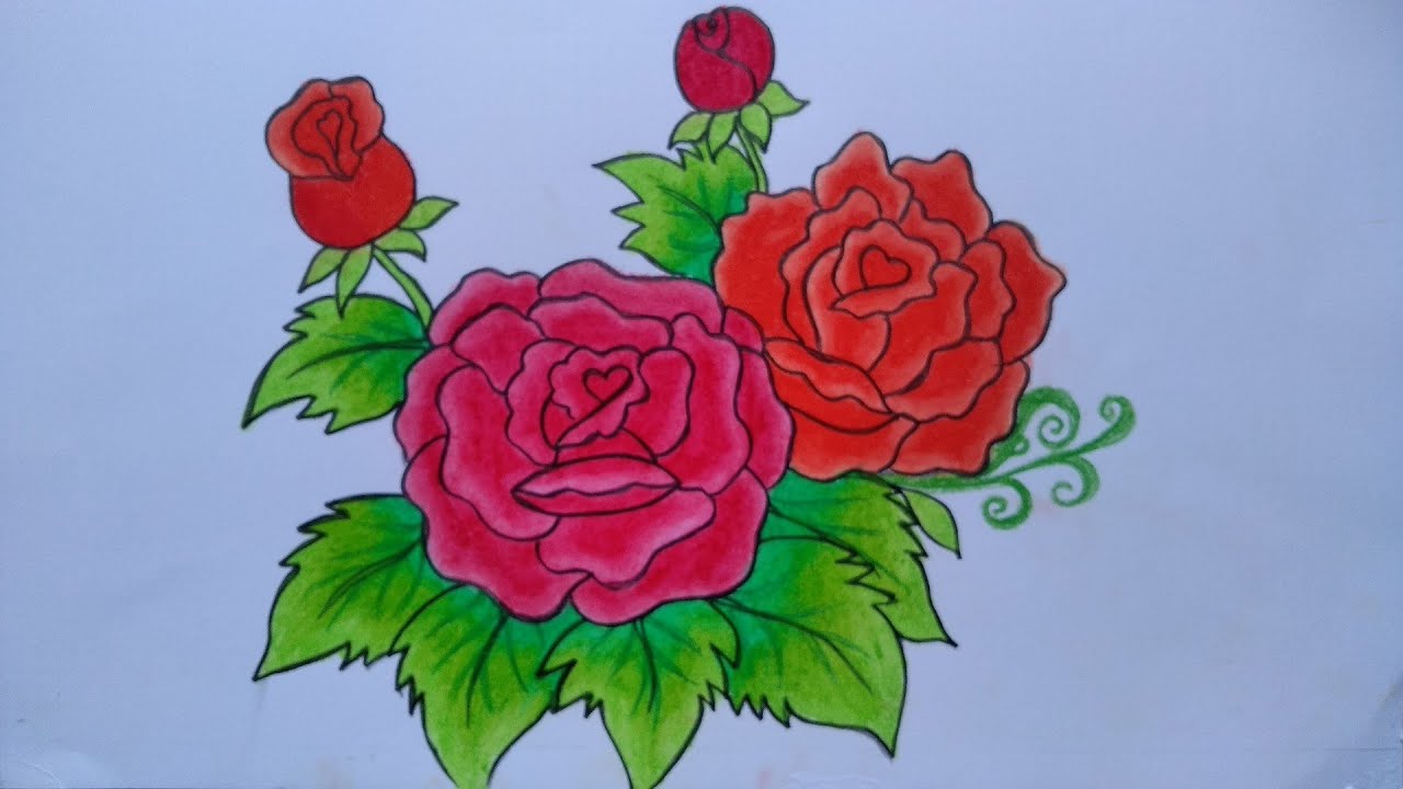 Detail Gambar Sketsa Bunga Mawar Merah Nomer 22