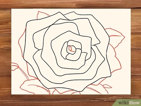Detail Gambar Sketsa Bunga Mawar Merah Nomer 36