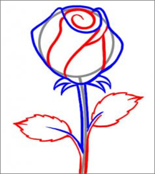Detail Gambar Sketsa Bunga Mawar Merah Nomer 38