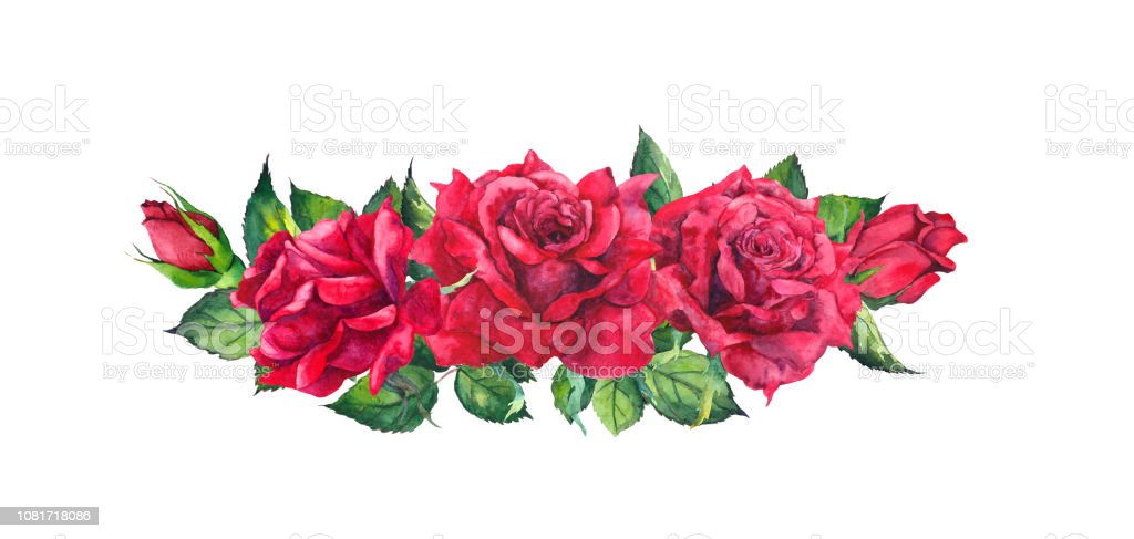 Detail Gambar Sketsa Bunga Mawar Merah Nomer 43
