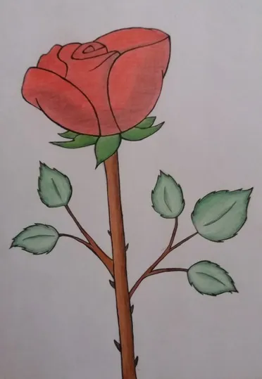 Detail Gambar Sketsa Bunga Mawar Mudah Nomer 33