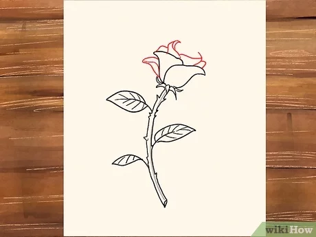 Detail Gambar Sketsa Bunga Mawar Sederhana Nomer 8