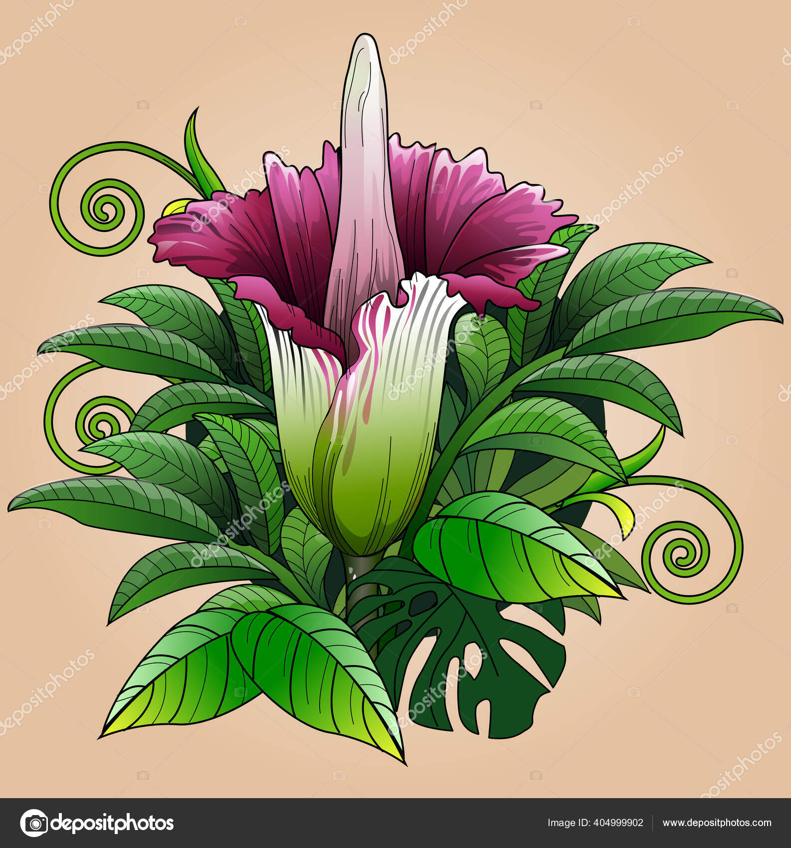 Download Gambar Sketsa Bunga Raflesia Nomer 9