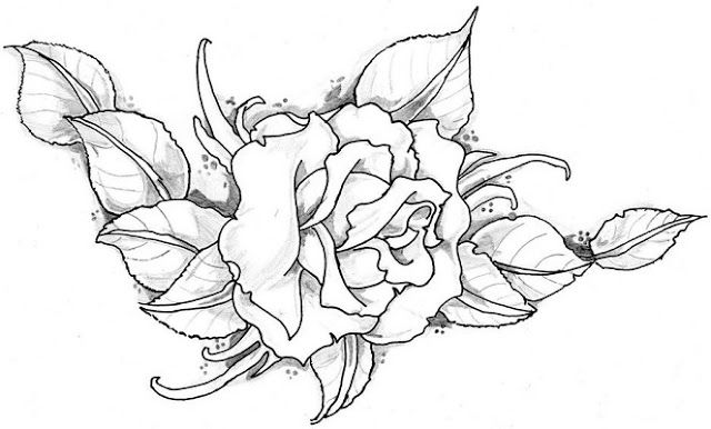 Detail Gambar Sketsa Bunga Rose Nomer 42