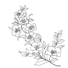 Detail Gambar Sketsa Bunga Sakura Mudah Nomer 47