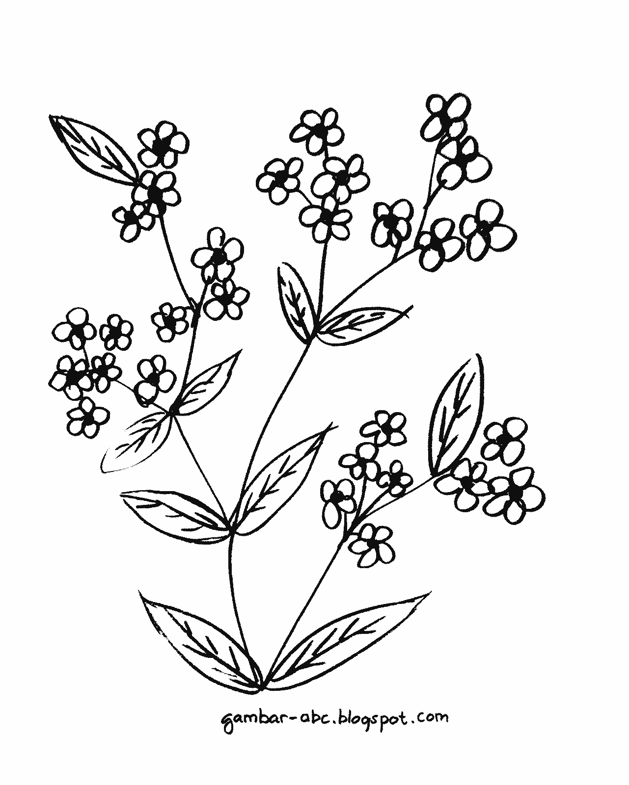 Detail Gambar Sketsa Bunga Sakura Mudah Nomer 56