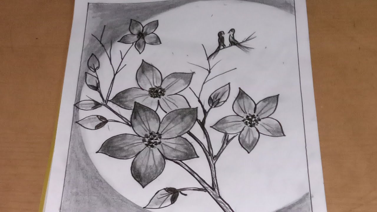 Detail Gambar Sketsa Bunga Sakura Mudah Nomer 7