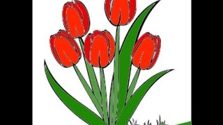 Download Gambar Sketsa Bunga Tulip Berwarna Nomer 16