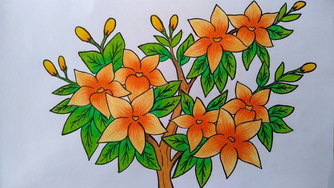 Detail Gambar Sketsa Bunga Tulip Berwarna Nomer 33