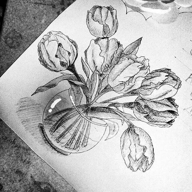 Detail Gambar Sketsa Bunga Tulip Berwarna Nomer 38