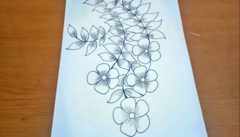 Detail Gambar Sketsa Bunga Unik Nomer 20