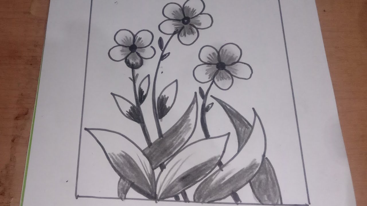 Detail Gambar Sketsa Bunga Yang Mudah Nomer 28