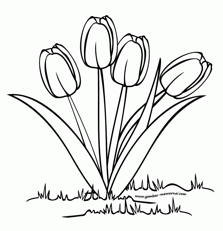 Detail Gambar Sketsa Bunga Yang Mudah Digambar Nomer 30