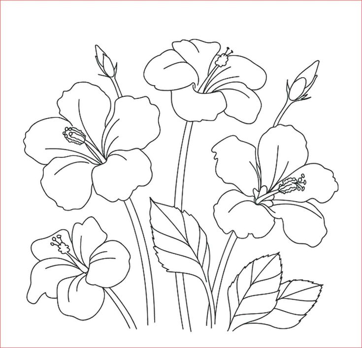 Detail Gambar Sketsa Bunga Yg Mudah Nomer 20