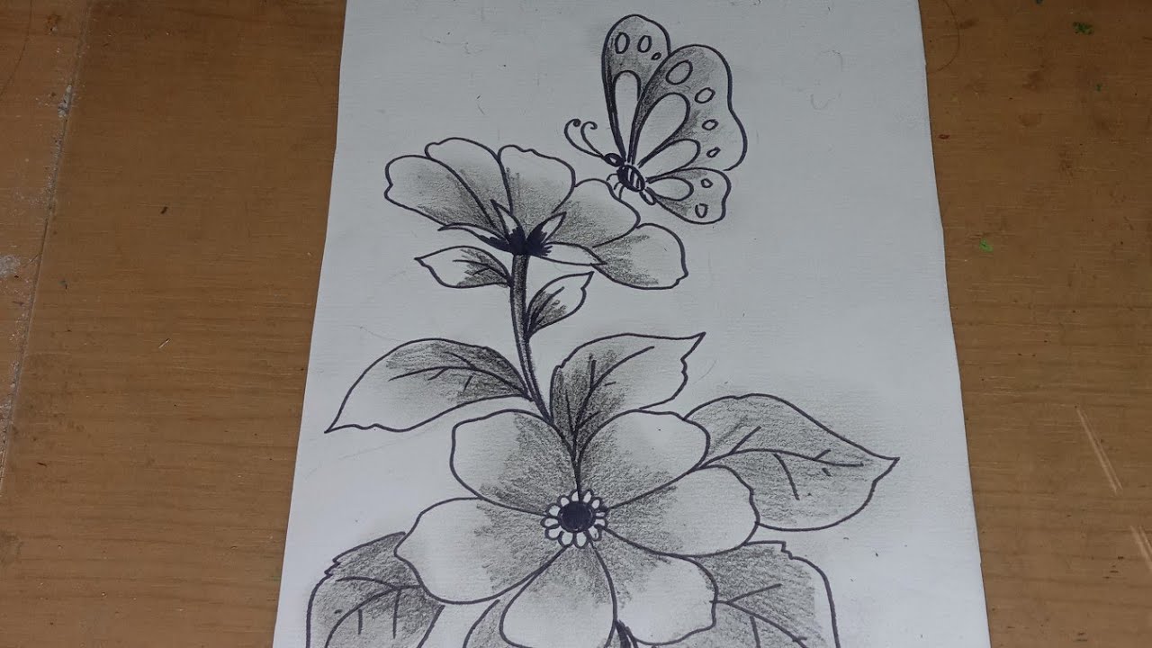 Detail Gambar Sketsa Bunga Yg Mudah Nomer 44
