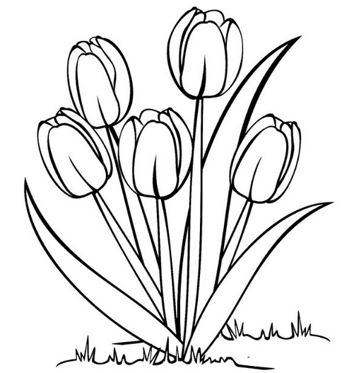 Detail Gambar Sketsa Bunga Yg Mudah Nomer 53