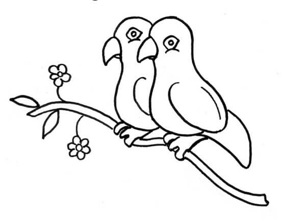 Detail Gambar Sketsa Burung Nomer 48