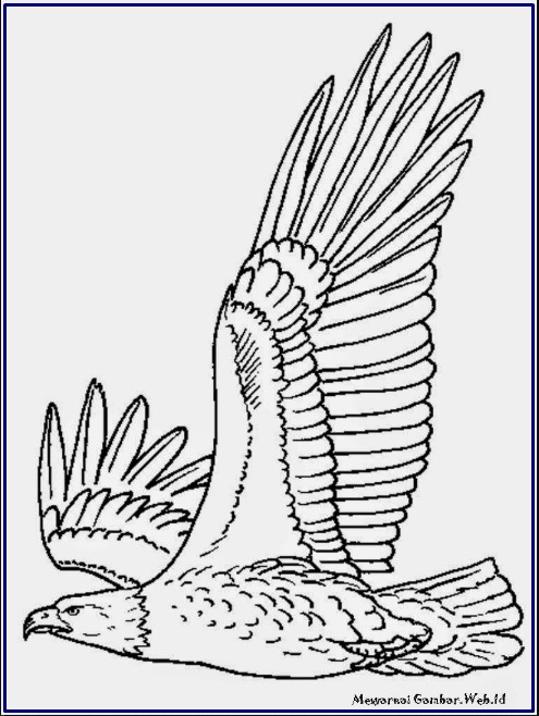 Detail Gambar Sketsa Burung Garuda Nomer 48