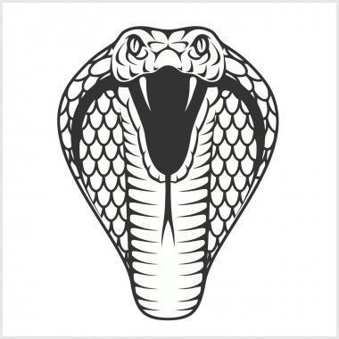 Detail Gambar Sketsa Cobra Nomer 19