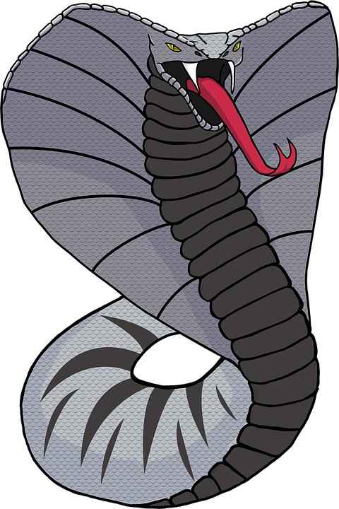 Detail Gambar Sketsa Cobra Nomer 23