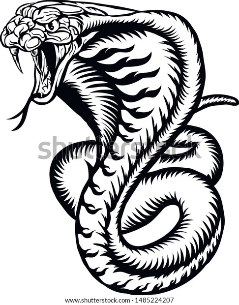 Detail Gambar Sketsa Cobra Nomer 4
