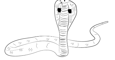 Detail Gambar Sketsa Cobra Nomer 31