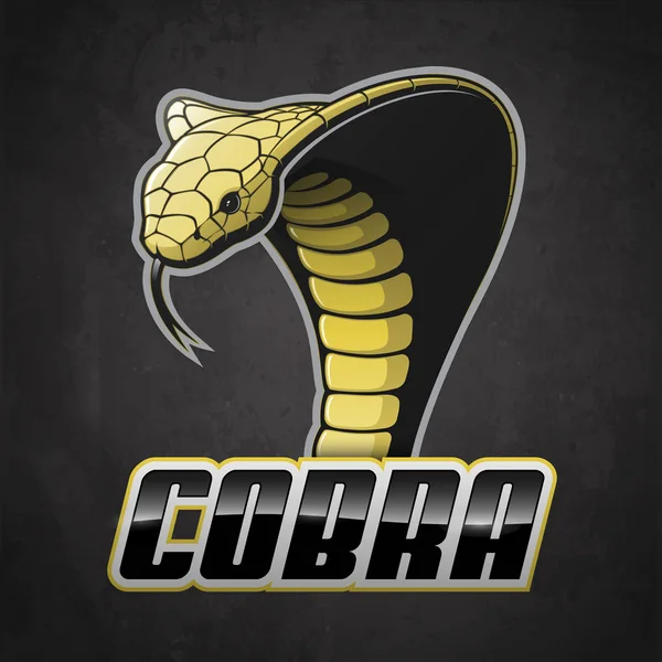 Detail Gambar Sketsa Cobra Nomer 39