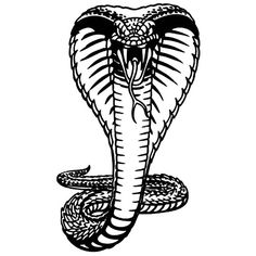 Detail Gambar Sketsa Cobra Nomer 51