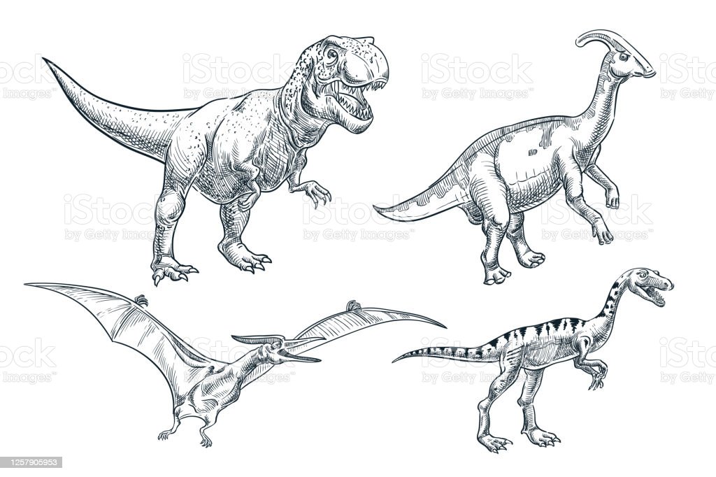 Detail Gambar Sketsa Dinosaurus Nomer 28